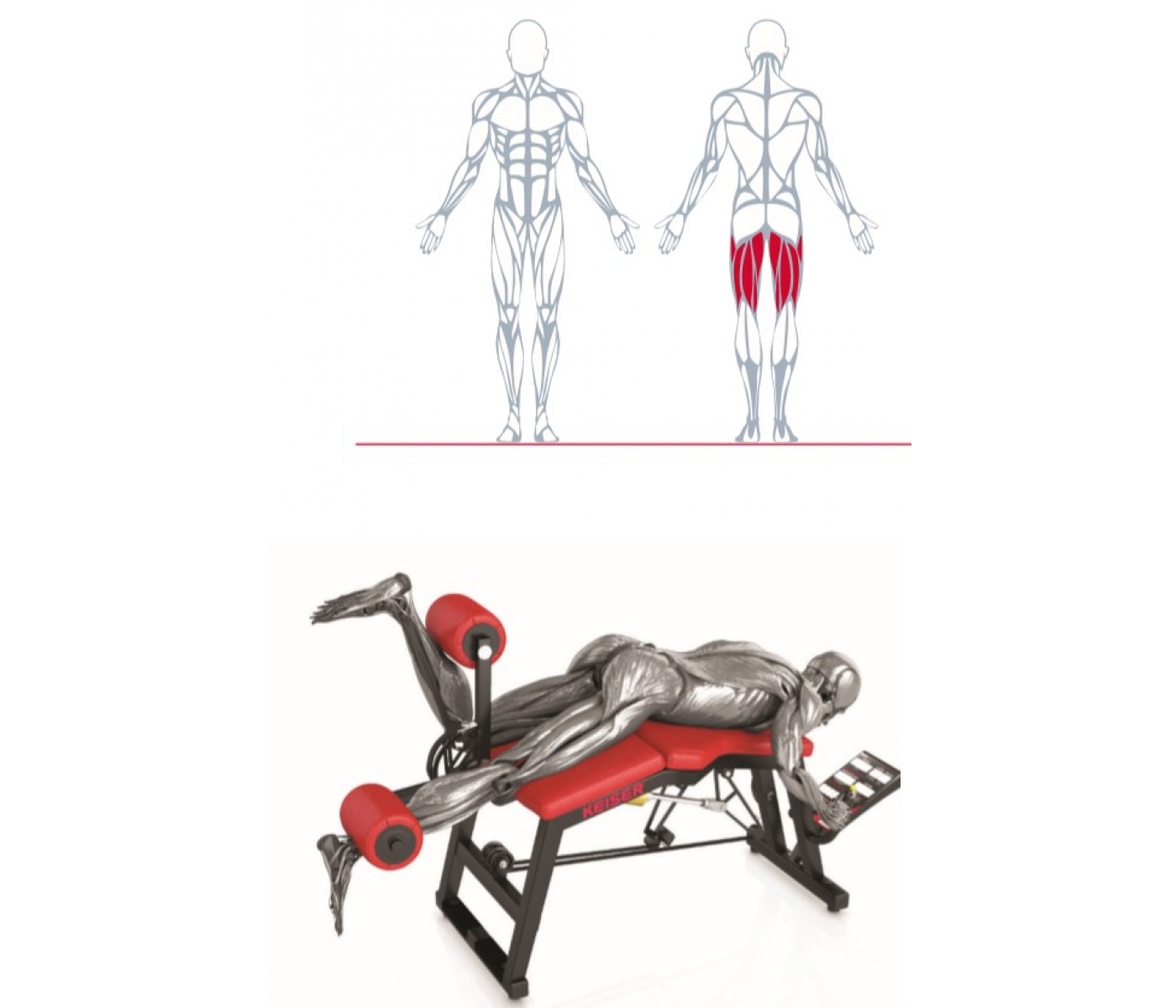 Keiser A300 Leg curl