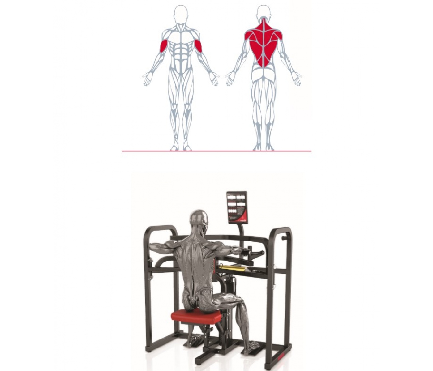 Keiser A350 Biaxial Upper Back