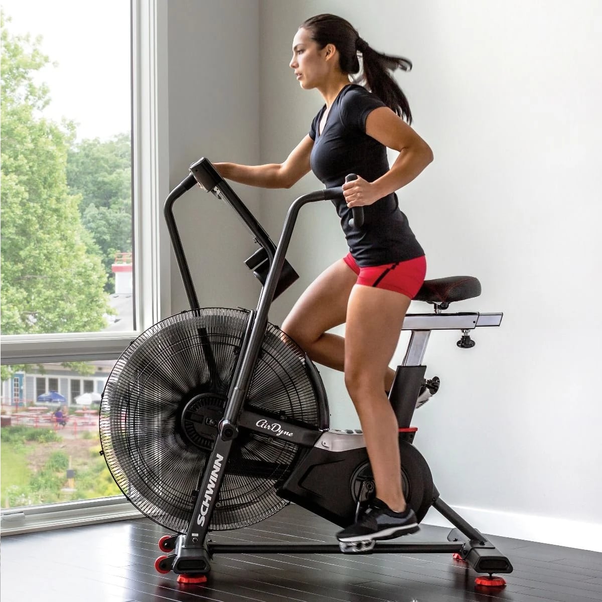 Schwinn Airdyne AD8 Pro Motionscykel