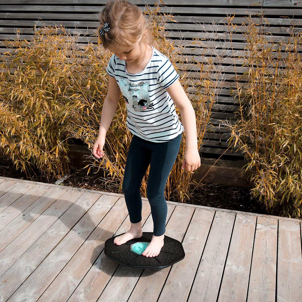 Abilica BalanceBoard Labyrinth