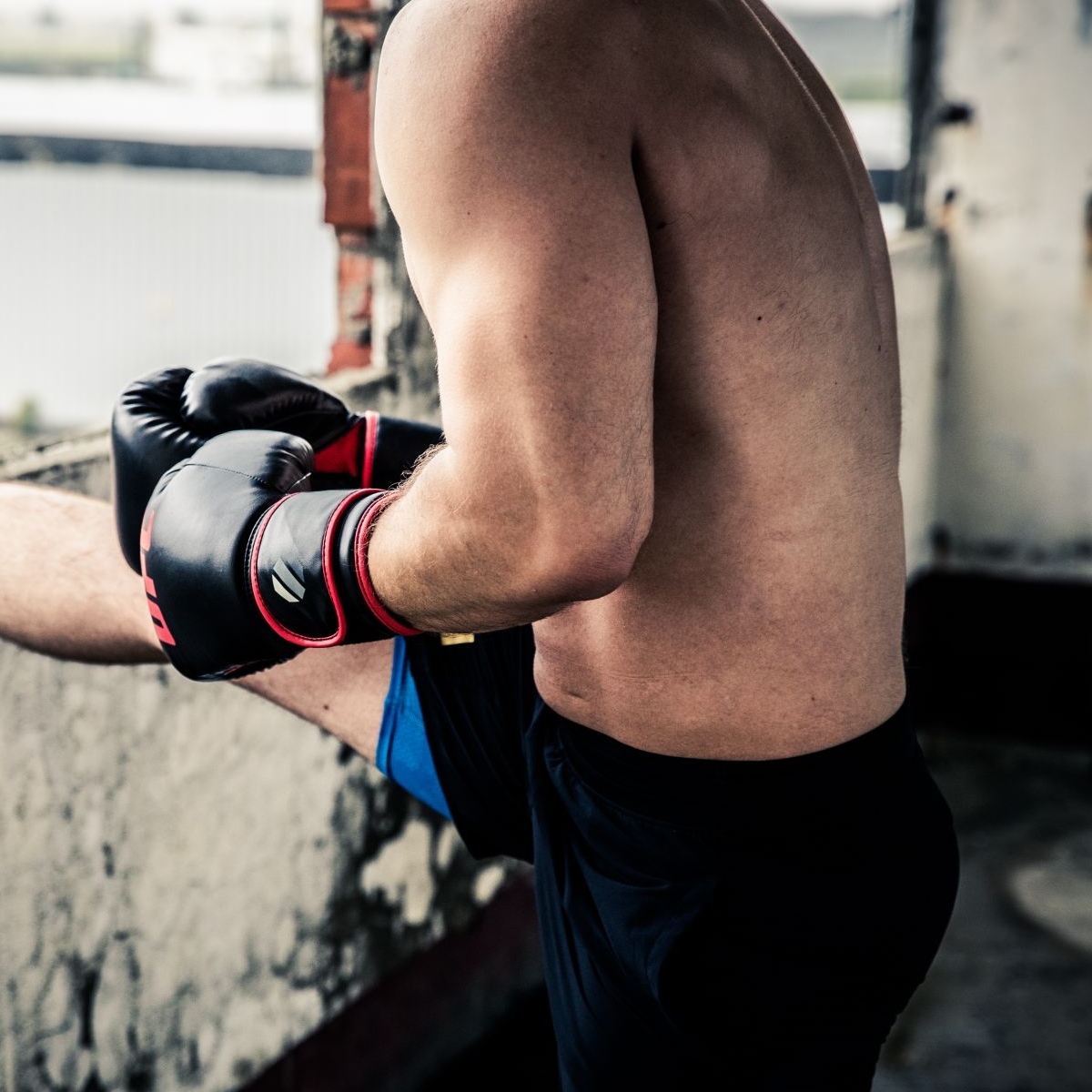 UFC Boxing Training Gloves (Muay Thai Training Gloves) - 12
