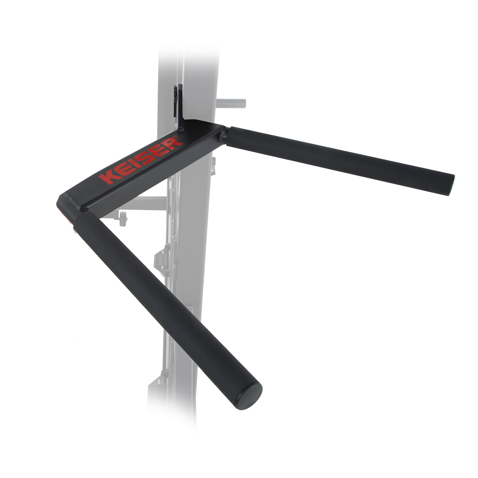 Keiser Dip Station