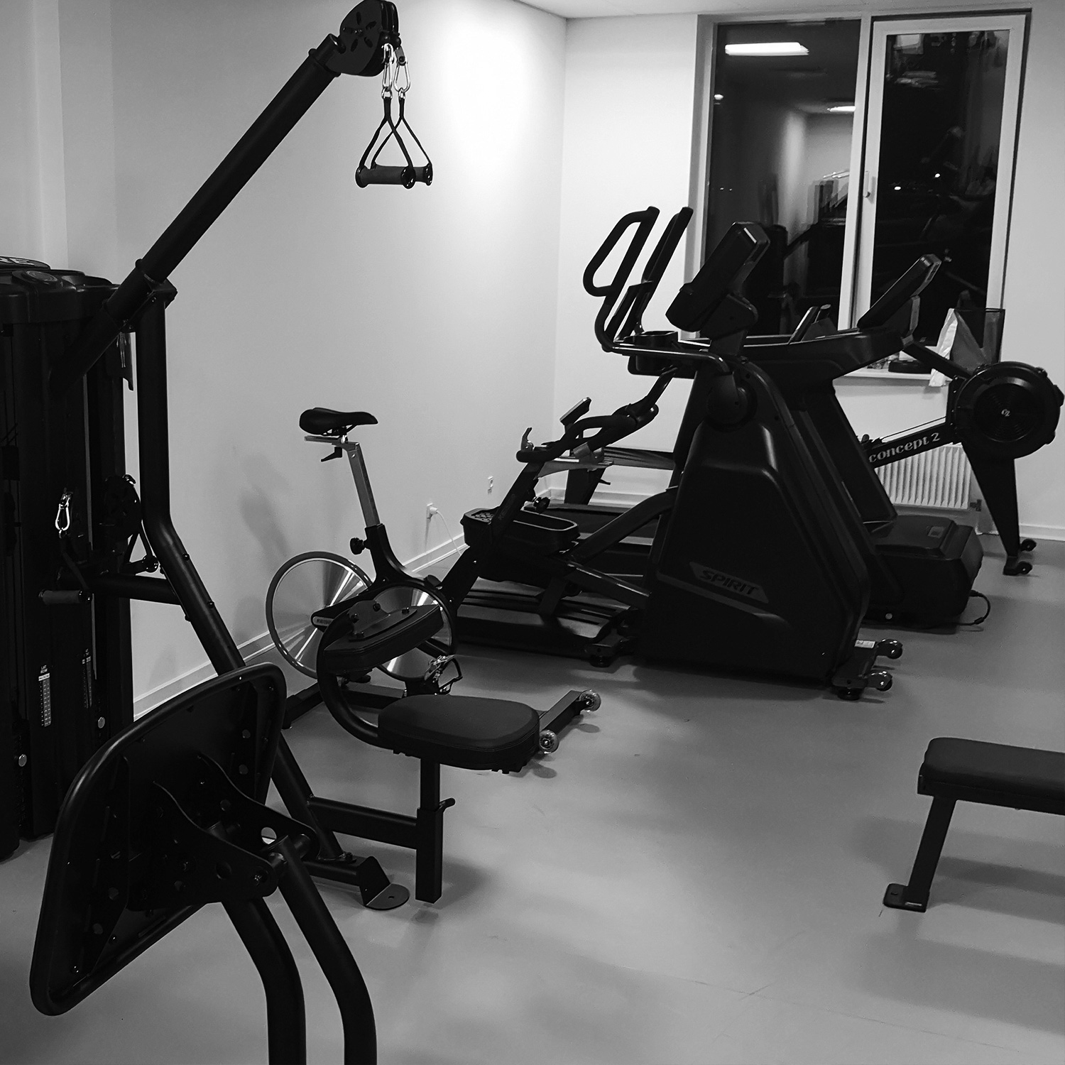 Firma fitness
