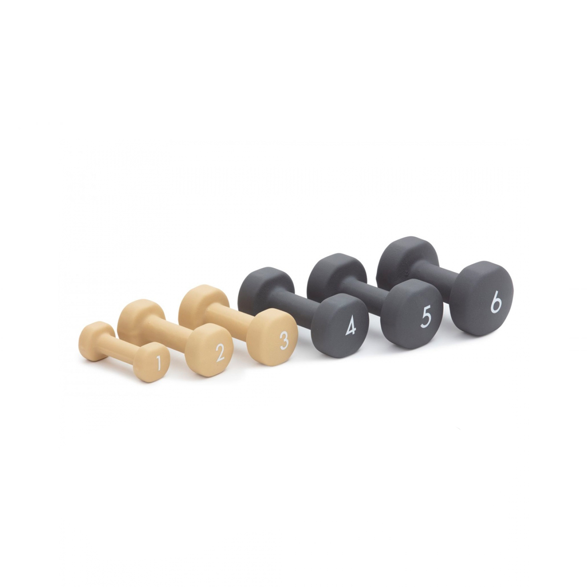 Abilica Dumbbell 1 - 6 kg