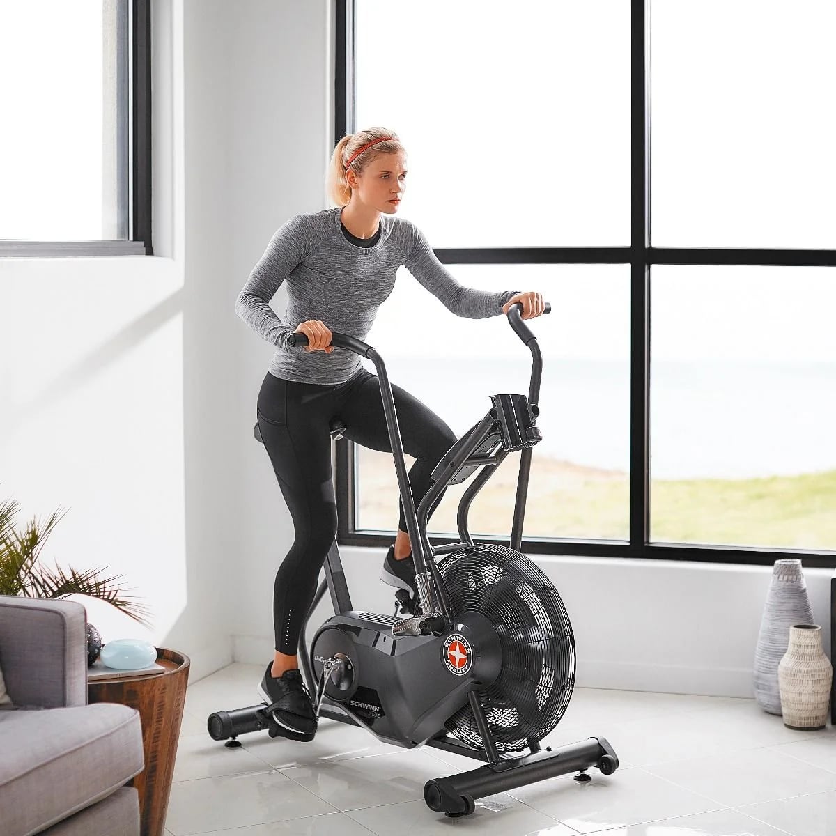 Schwinn Airdyne AD6 Motionscykel