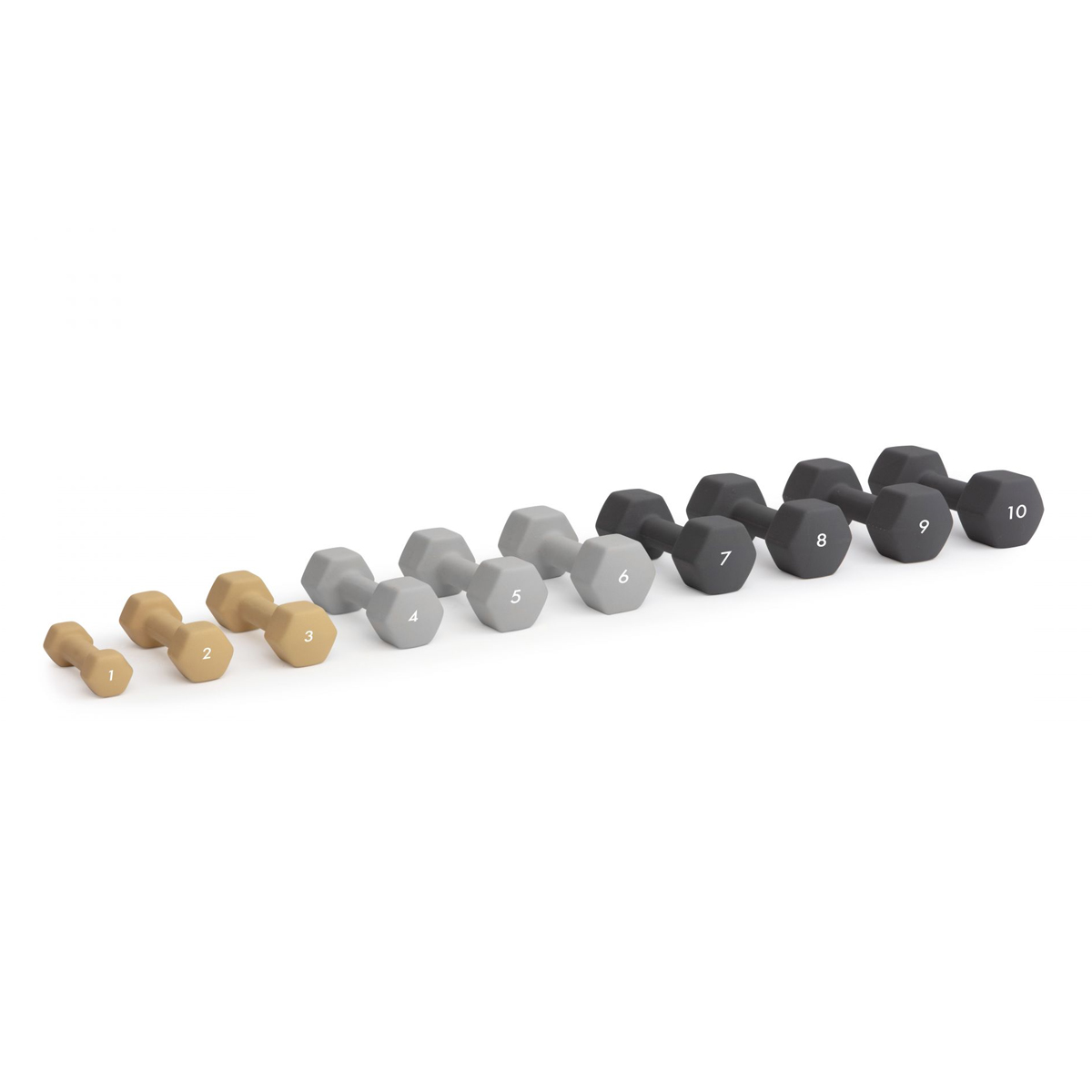 Abilica Hex DumbBell 1 - 10 kg