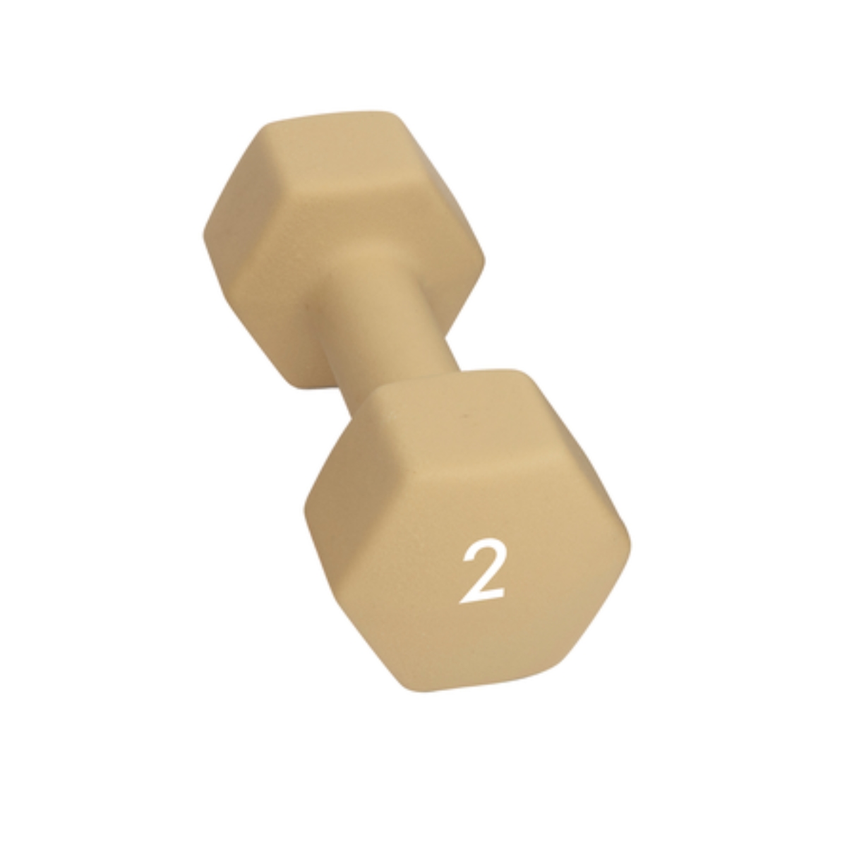 Abilica Dumbbell 2 kg