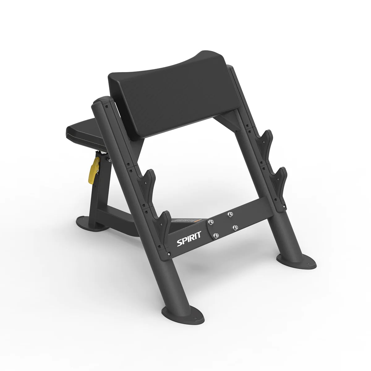 Preacher Curl Bench