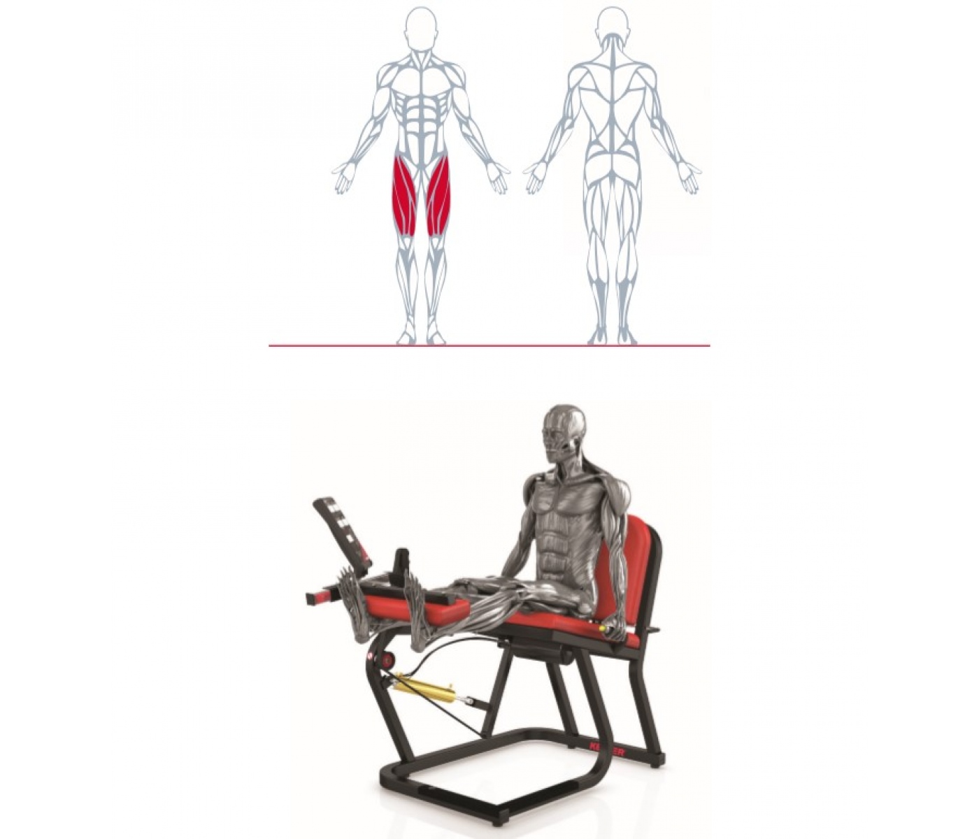 Keiser A250 Leg Extension