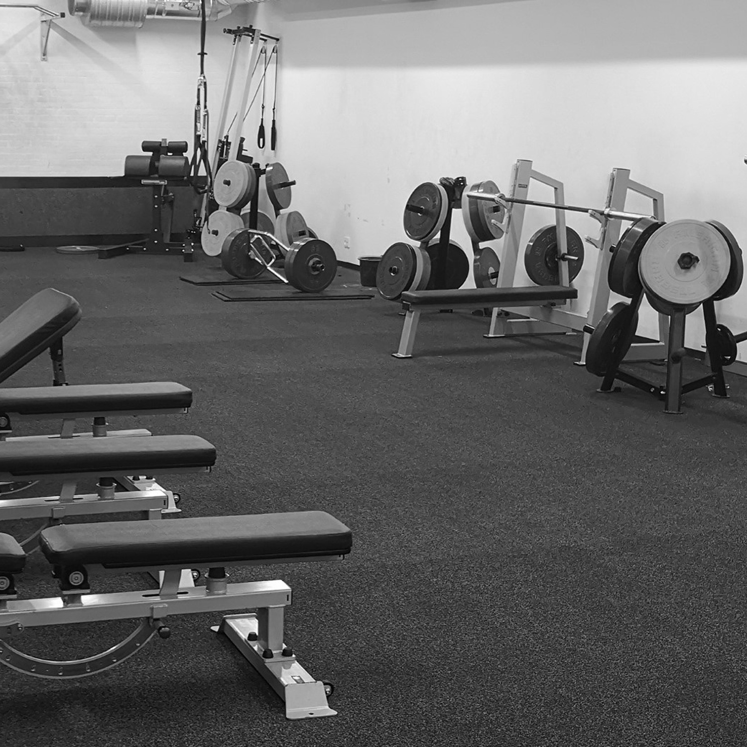Elitesport