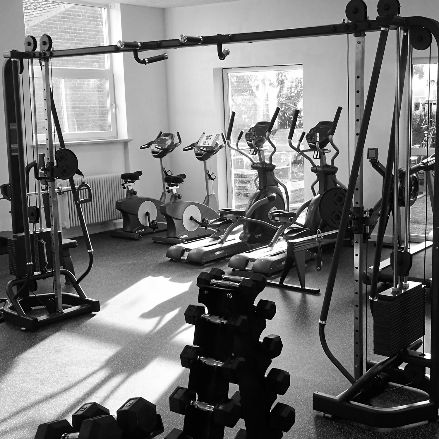 Foreningsfitness